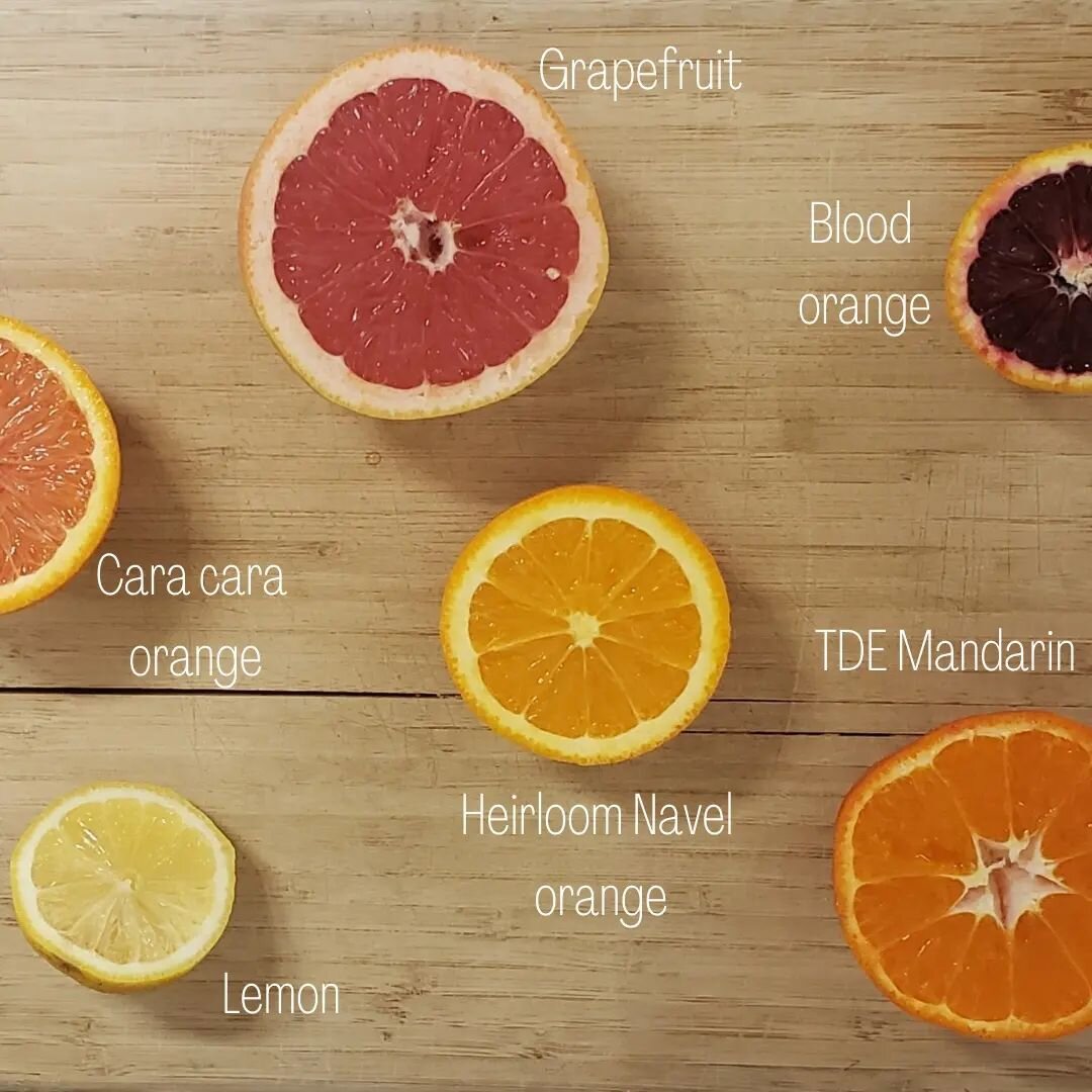Citrus season is in full swing!
Here is what we currently have available.
Just a reminder- our produce is organic! 😄
